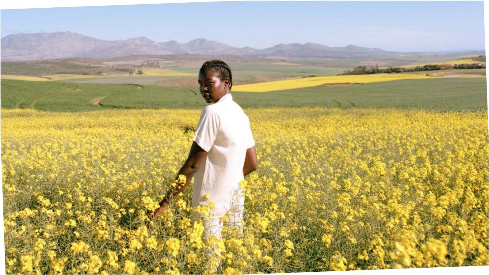 Girl standing in a field of yellow flowers